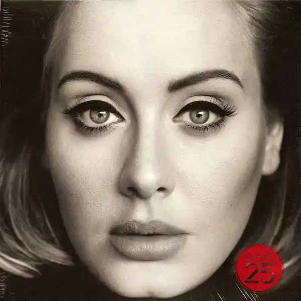 Adele (3) : 25 LP, Album (M / M) - Dig Vinyl Don’t Miss Out