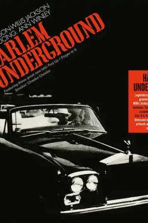 Buy Today Harlem Underground Band : Harlem Underground LP, Album (M / M) - Dig Vinyl