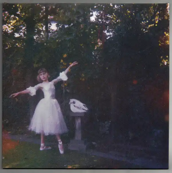 Original Wolf Alice : Visions Of A Life 2xLP, Album, 180 (M / M) - Dig Vinyl
