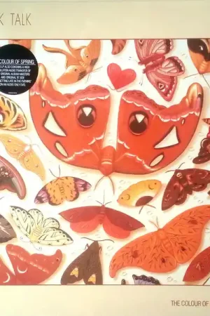 Talk Talk : The Colour Of Spring LP, Album, RE, 180 + DVD-V, Album, RE, NTSC (M / M) - Dig Vinyl Buy Today