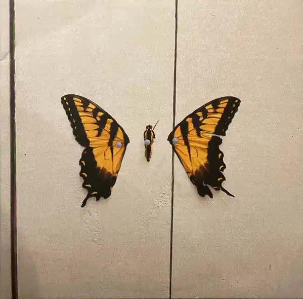 Paramore : Brand New Eyes LP, Album, RP (M / M) - Dig Vinyl Must Have