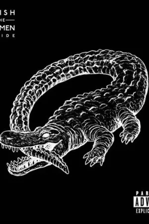 Brand New Catfish And The Bottlemen : The Ride LP, Album (M / M) - Dig Vinyl