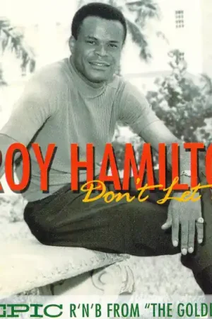 Genuine Roy Hamilton : Don't Let Go CD, Comp (VG+ / VG+) - Dig Vinyl