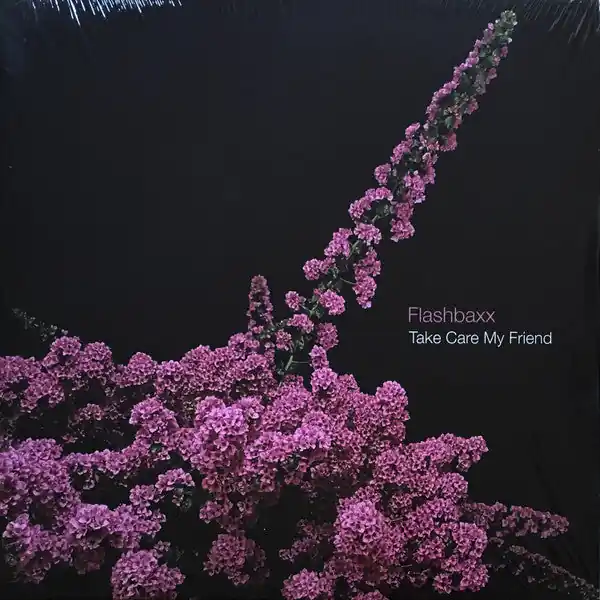 Special Offer Flashbaxx : Take Care My Friend 12", MiniAlbum, Smplr, plu (M / M) - Dig Vinyl