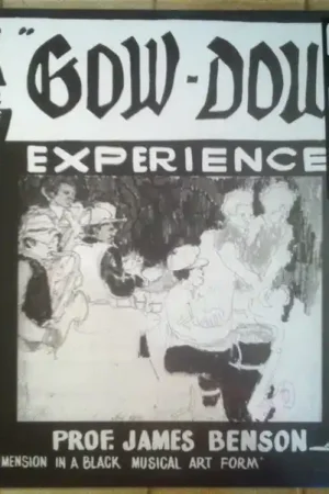 Crafted Prof. James Benson* : The Gow-Dow Experience LP, Album, Ltd, Num, RE (M / M) - Dig Vinyl