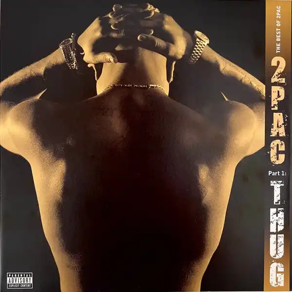 Get Yours 2Pac : The Best Of 2Pac - Part 1: Thug 2xLP, Comp (M / M) - Dig Vinyl