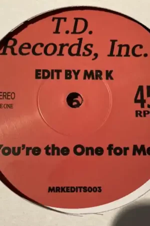 Exclusive D-Train / Theo Vaness : You're The One For Me / Sentimentally It's You 12" (M / Generic) - Dig Vinyl