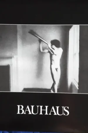 Bauhaus : In The Flat Field LP, Album, RE (M / M) - Dig Vinyl Free Delivery