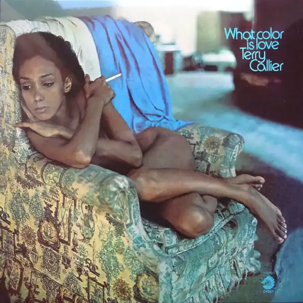 Terry Callier : What Color Is Love LP, Album, RE, RM, 180 (M / M) - Dig Vinyl Premium