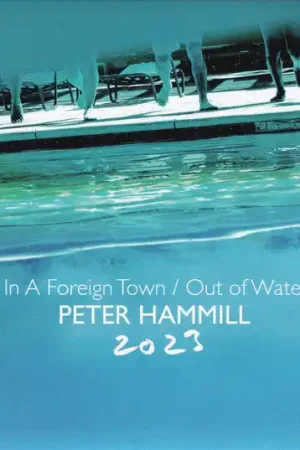 Peter Hammill : In A Foreign Town / Out Of Water 2023 2xCD, Album (VG+ / VG+) - Dig Vinyl Super Sale