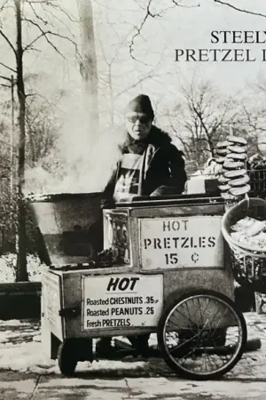 Brand New Steely Dan : Pretzel Logic LP, Album, RE, 180 (M / M) - Dig Vinyl
