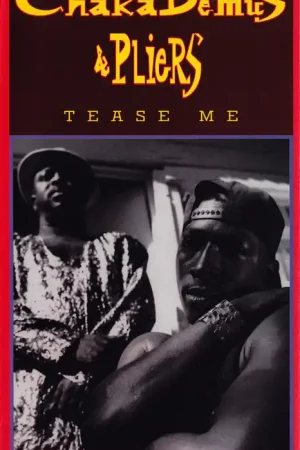 Professional Grade Chaka Demus & Pliers : Tease Me VHS (VG+ / VG+) - Dig Vinyl