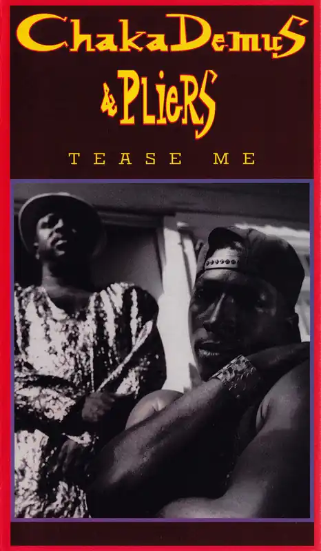Professional Grade Chaka Demus & Pliers : Tease Me VHS (VG+ / VG+) - Dig Vinyl