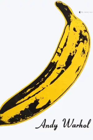 The Velvet Underground & Nico : The Velvet Underground & Nico CD, Album, RE, RM (M / M) - Dig Vinyl Money Back Guarantee