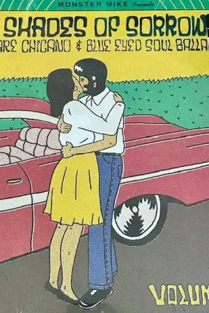 Special Discount Various : Shades Of Sorrow: Rare Chicano & Blue Eyed Soul Ballads - Volume 2 LP, Comp (M / M) - Dig Vinyl