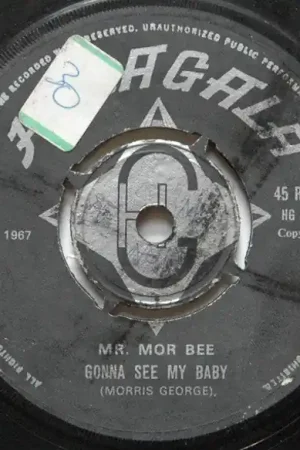 Viral Mr. Mor Bee* : Gonna See My Baby 7", Single (VG+ / Generic) - Dig Vinyl