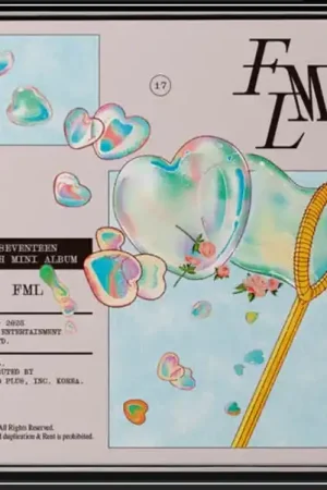 Special Discount Seventeen : FML CD, MiniAlbum, Car (NM or M- / NM or M-) - Dig Vinyl