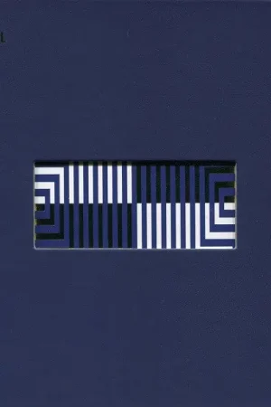 One Day Deal Enhypen : Border : Carnival CD, MiniAlbum, UP (VG+ / VG+) - Dig Vinyl