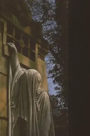 Dead Can Dance : Within The Realm Of A Dying Sun LP, Album, RE, RM (M / M) - Dig Vinyl Special Discount