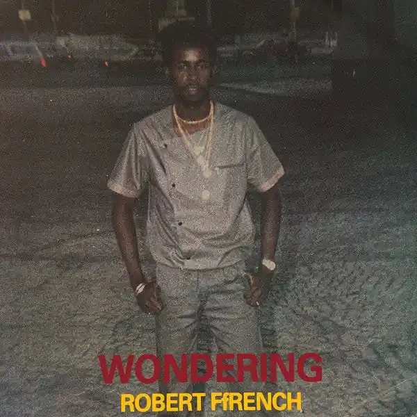 Final Sale Robert Ffrench : Wondering LP, Album, Ltd, RE (M / M) - Dig Vinyl