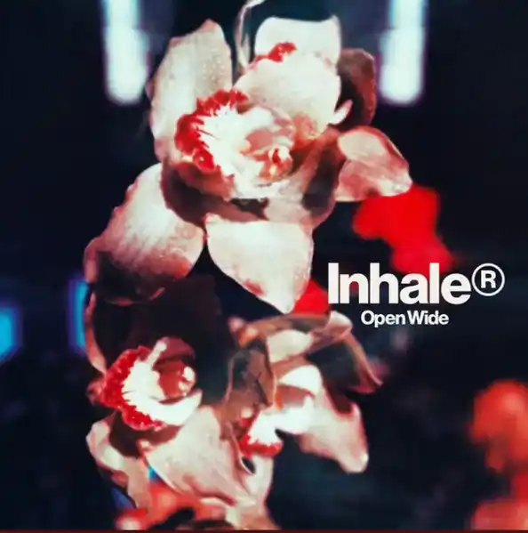 Inhaler : Open Wide LP, Album (M / M) - Dig Vinyl Budget