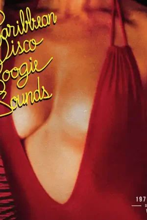 In Demand Various : Caribbean Disco Boogie Sounds (1977-1982) LP, Comp (VG+ / VG+) - Dig Vinyl