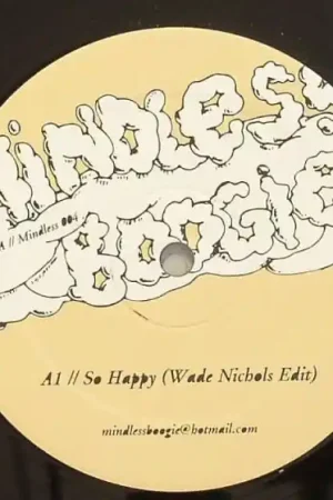 Price Cut Wade Nichols : So Happy 12" (VG+ / VG+) - Dig Vinyl