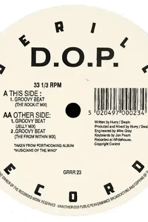 Professional Grade D.O.P. : Groovy Beat 12" (VG / Generic) - Dig Vinyl