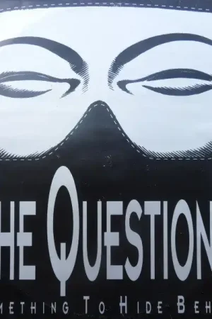 The Question?* : Something To Hide Behind 12" (VG+ / VG+) - Dig Vinyl Affordable
