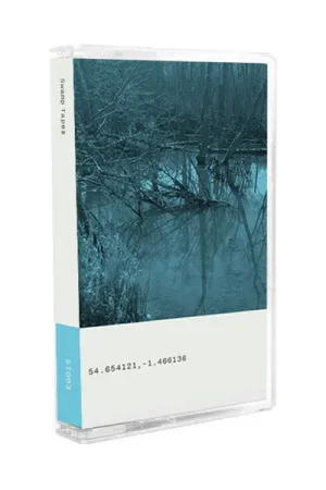 Popular Various : Swamp Tapes 003 Cass, Album (NM or M- / NM or M-) - Dig Vinyl
