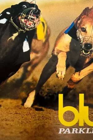 Hot Picks Blur : Parklife CD, Album, M/Print, RE, RP (M / M) - Dig Vinyl