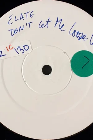 Today Only Elate : Don't Let Me Lose Love 12", W/Lbl (VG / Generic) - Dig Vinyl