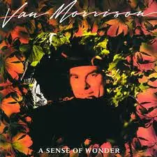 Reduced Price Van Morrison : A Sense Of Wonder LP, Album (VG+ / VG+) - Dig Vinyl