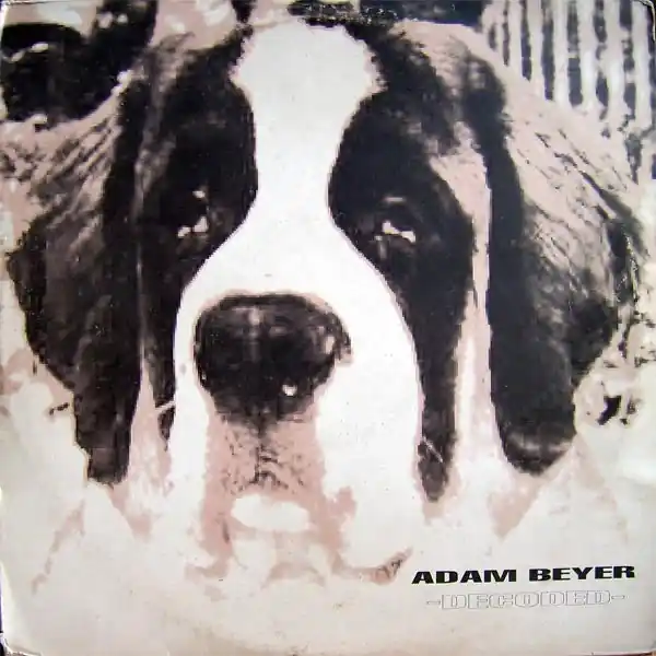 Adam Beyer : Decoded 2xLP, Album (VG / Not Graded) - Dig Vinyl Certified