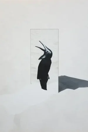 Penguin Cafe : The Imperfect Sea LP, Album (VG+ / VG+) - Dig Vinyl Fresh Stock