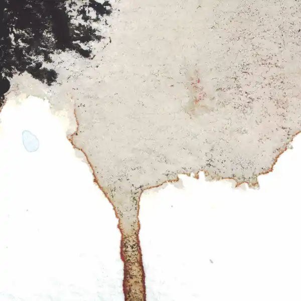 The Telescopes / Flavor Crystals : The Living Things / Von Trier Flakes 12", Ltd (VG+ / VG+) - Dig Vinyl New Release