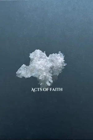 Sault : Acts Of Faith LP, Album (M / M) - Dig Vinyl Latest