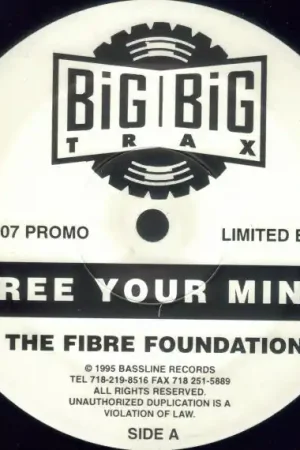 Fresh Stock Fibre Foundation : Free Your Mind 12", Ltd, Promo (VG / Generic) - Dig Vinyl