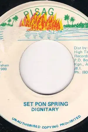 Set Pon Spring Budget