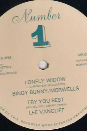 Big Sale Lonely Widow / Try Your Best