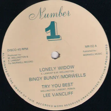 Big Sale Lonely Widow / Try Your Best