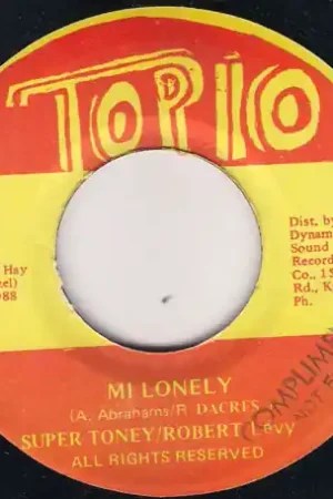Holiday Sale Mi Lonely