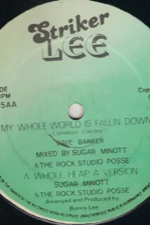 Special Discount I Know Them Love It / My Whole World Is Falling Down