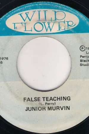 Express Delivery False Teaching / Teachers Dub
