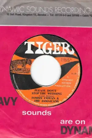 Top Rated Please Dont Stop The Wedding / Hard On Me