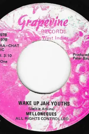 Latest Wake Up Jah Youths / Ver