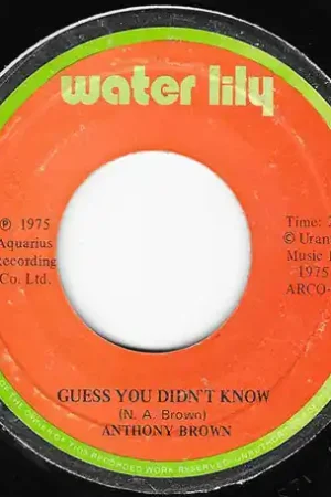 Guess You Didnt Know / Reggae Funkified Budget