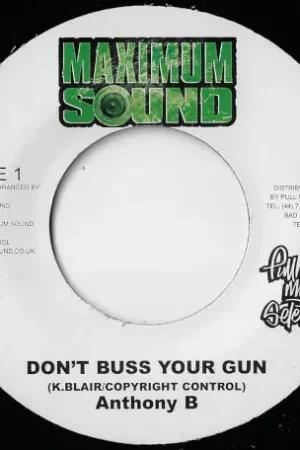 Dont Buss Your Gun / Train To Zion Dub Worldwide Shipping