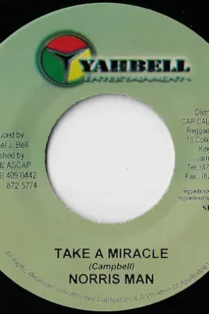 Seasonal Sale Take A Miracle / Fire And Rain Inst
