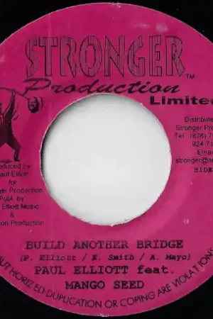 Next Day Delivery Build Another Bridge / Rhythm